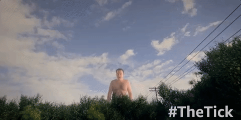 season 1 GIF by The Tick
