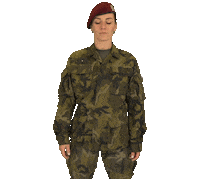 armadaceskerepubliky what why army noway Sticker