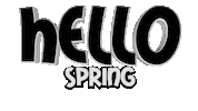 Hello Spring Sticker by OpticalArtInc.