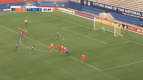 janecampbell save GIF by Houston Dash