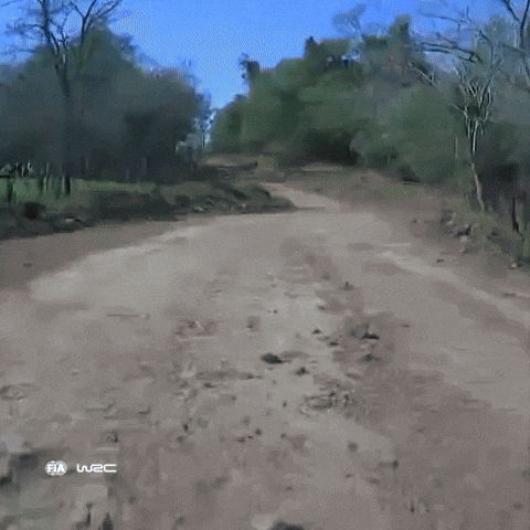 Wrc GIF by FIA World Rally Championship