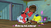 season 9 GIF by SpongeBob SquarePants