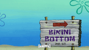 season 9 episode 10 GIF by SpongeBob SquarePants