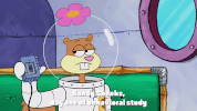 season 9 the fish bowl GIF by SpongeBob SquarePants