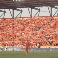 Football Rts GIF by Widzew Łódź