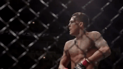 ufc 206 GIF
