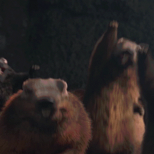 Est-ce que l'écologie mobilise encore ?