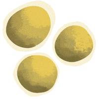 Golden Poop Sticker by anilandcz