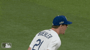 Yell Major League Baseball GIF by MLB