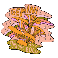 Zodiac Sign Rainbow Sticker by Doodle by Meg