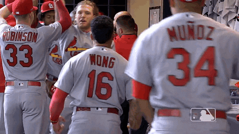 St Louis Cardinals Celebration GIF by MLB
