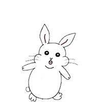 jinsil 토끼 궁금 궁금해 진실 Sticker