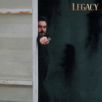 Legacy Emanet GIF by Eccho Rights