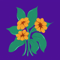 Flower GIF by Poupoutte