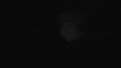 Girlsgowild GIF by LP