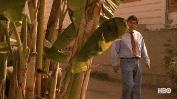 Coming Of Age Comedy GIF by HBO Max