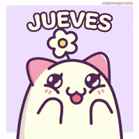 Happy Cat GIF by Castaways