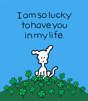 I Love You Dogs GIF by Chippy the Dog