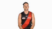 essendonfc patrick dons bombers essendon GIF