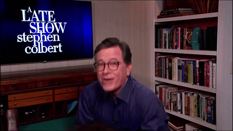 Stephen Colbert Dog GIF by The Late Show With Stephen Colbert