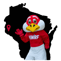 Wisconsin Falcons Sticker by UW-River Falls