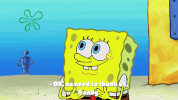 episode 1 whirly brains GIF by SpongeBob SquarePants