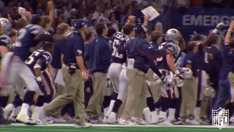 celebrate super bowl GIF by NFL