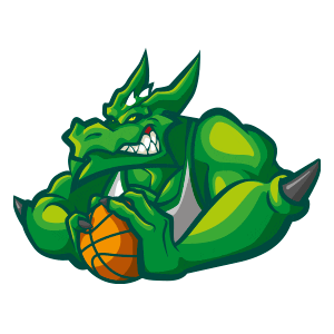 Fogoneles Sticker by Bauru Basket