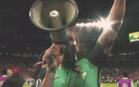 Euro 2016 Football GIF by UEFA
