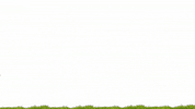 TotalEnergiesDZ football foot chan total GIF