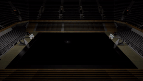 florida gators projection mapping GIF
