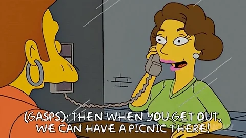 fazer um picnic em inglês