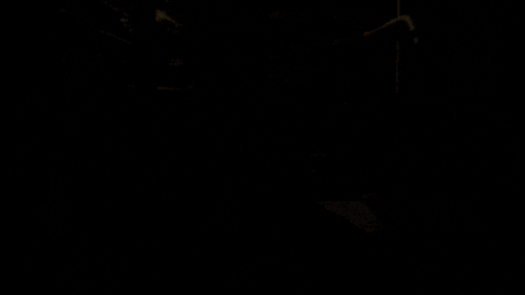pena dura season 5 GIF by Gotham
