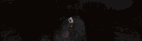 GIF by CORSAIR