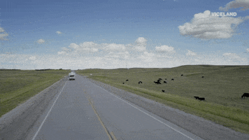 Road Trip Highway GIF by VICE DOES AMERICA