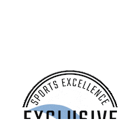 sportsexcellence baseball hockey bat sec Sticker