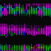 Color Neon GIF