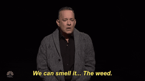 we can smell it tom hanks GIF by Saturday Night Live