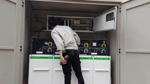 ttrungthschneider giphyupload GIF