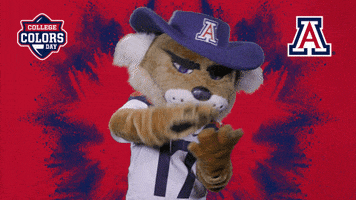 Happy College Sports GIF by College Colors Day