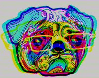 thenaturalvetsmx acupuntura tnv naturalvets thenaturalvets homeopatia fisioterapia GIF