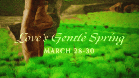 Austin Texas Ballerina GIF by Ballet Austin