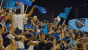 Usl Championship GIF by Switchbacks FC