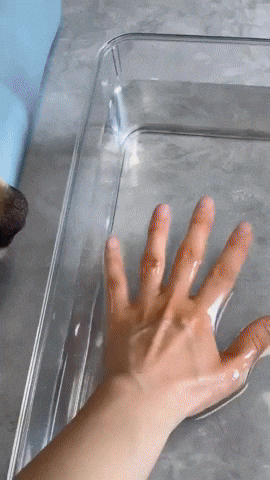 BEATRIZALBERA giphyupload GIF