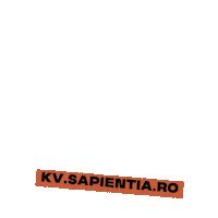 Sapientia Sticker by Gödri Csilla