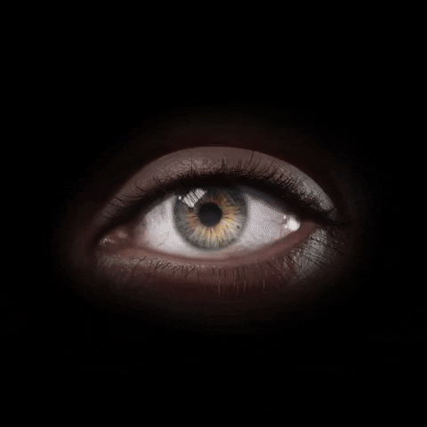 libeskindarts giphyupload eye iris eyeball GIF