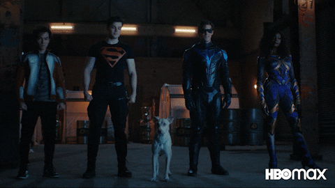 Good Boy Dog GIF by HBO Max