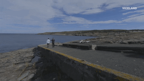 viceland GIF by ABANDONED