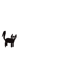 Dib Schwarze Katze Sticker by Chicco