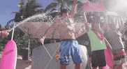redbull celebrate win winner champagne GIF